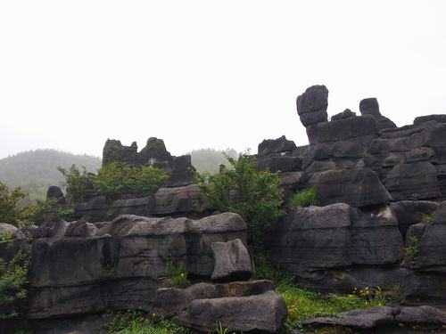 金佛山风景区旅游攻略：探秘千年古刹，领略自然奇观