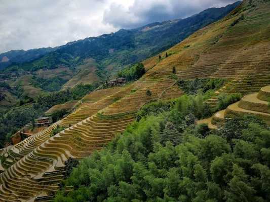 龙脊梯田旅游详细攻略：从设计到体验，带你领略壮美的山水风光