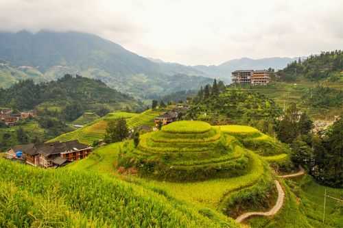 龙脊梯田旅游详细攻略：从设计到体验，带你领略壮美的山水风光